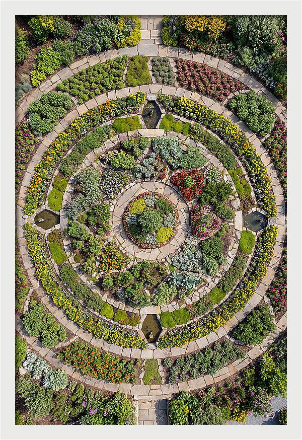 Aerial Perspective Of A Lush Garden