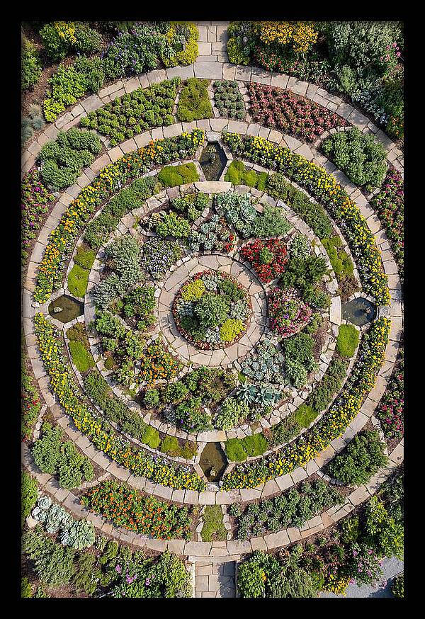 Aerial Perspective Of A Lush Garden