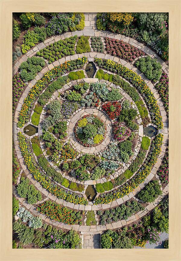 Aerial Perspective Of A Lush Garden