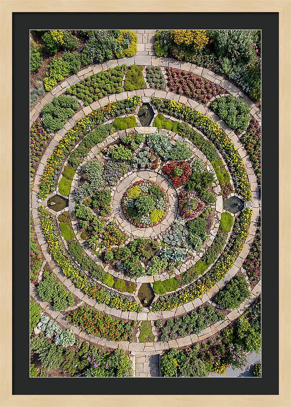Aerial Perspective Of A Lush Garden