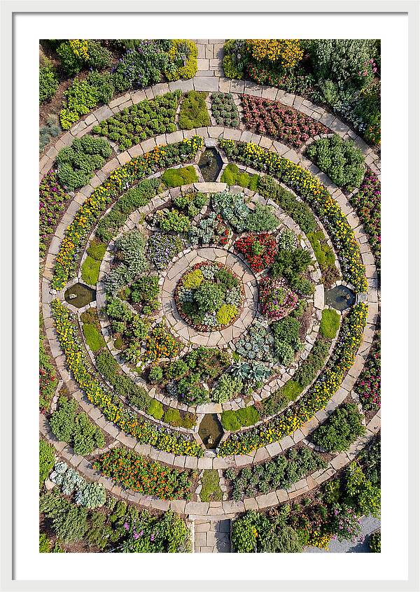 Aerial Perspective Of A Lush Garden