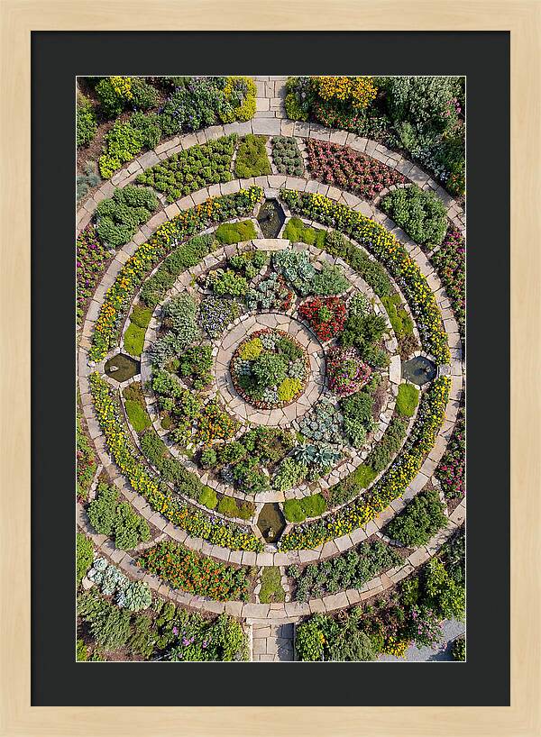 Aerial Perspective Of A Lush Garden