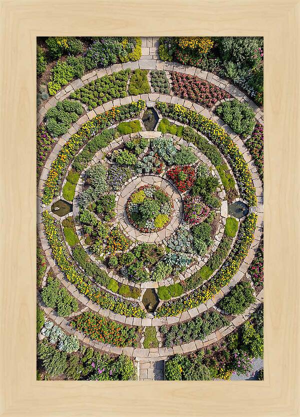 Aerial Perspective Of A Lush Garden