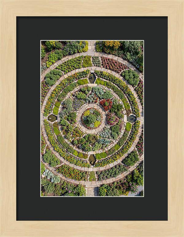 Aerial Perspective Of A Lush Garden
