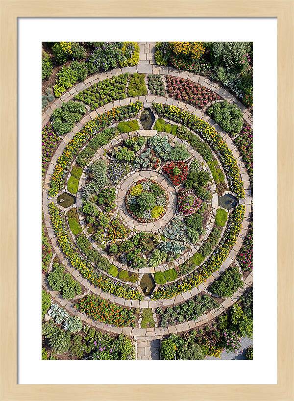 Aerial Perspective Of A Lush Garden