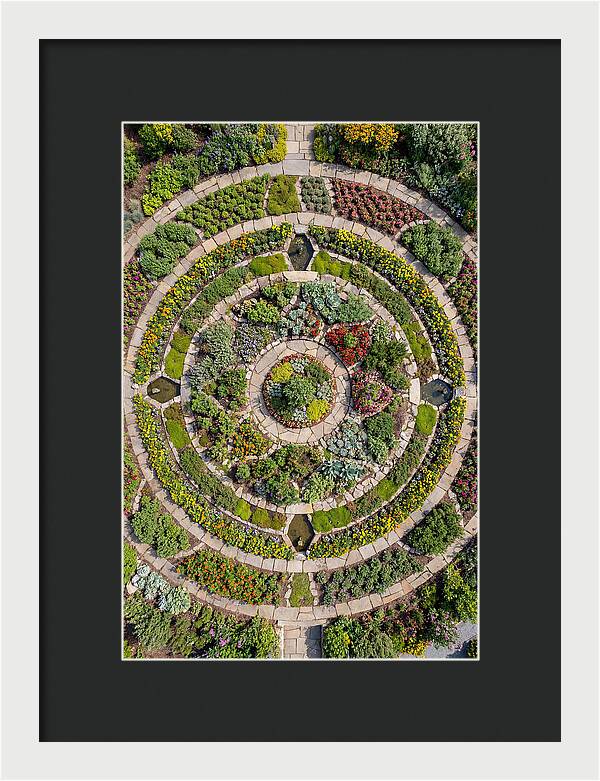 Aerial Perspective Of A Lush Garden