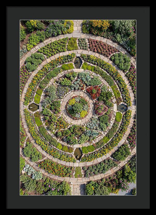 Aerial Perspective Of A Lush Garden