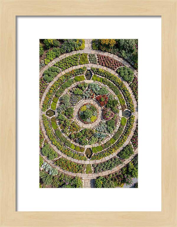 Aerial Perspective Of A Lush Garden