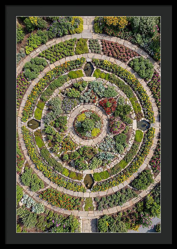 Aerial Perspective Of A Lush Garden