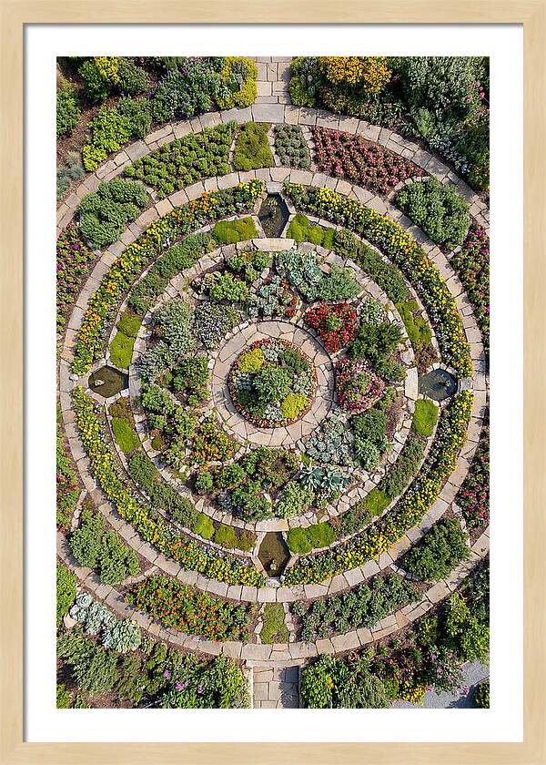 Aerial Perspective Of A Lush Garden