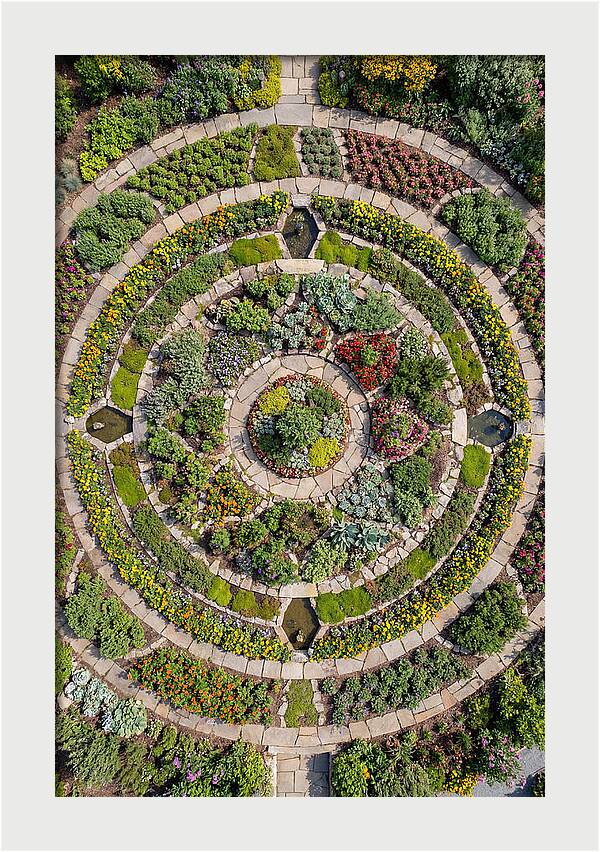 Aerial Perspective Of A Lush Garden