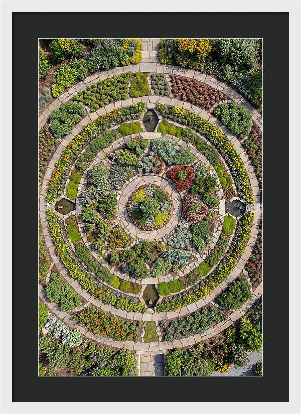 Aerial Perspective Of A Lush Garden