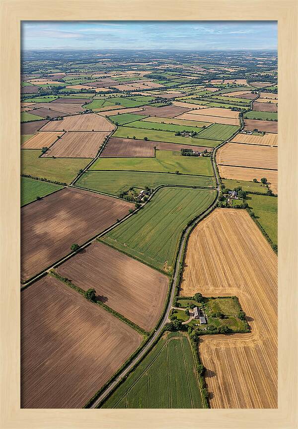 Aerial Perspective Of Agricultural Fields