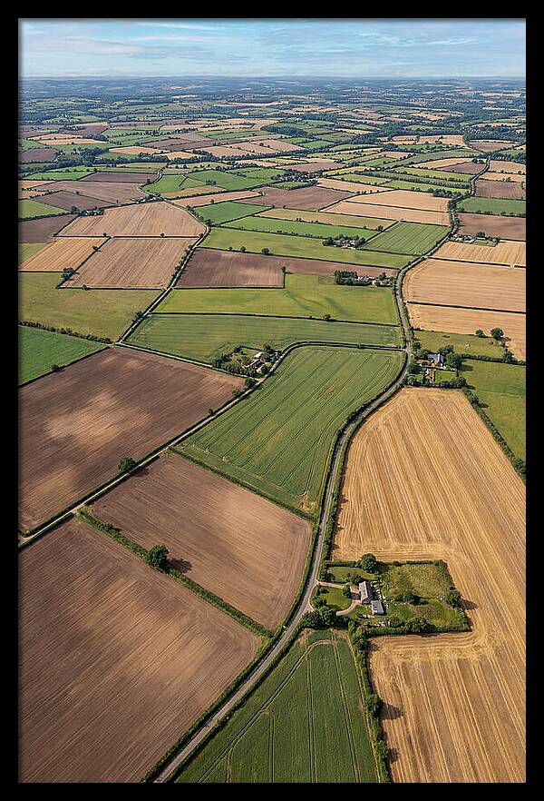 Aerial Perspective Of Agricultural Fields