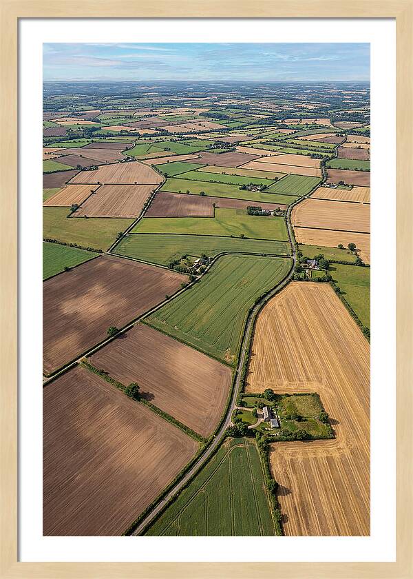 Aerial Perspective Of Agricultural Fields