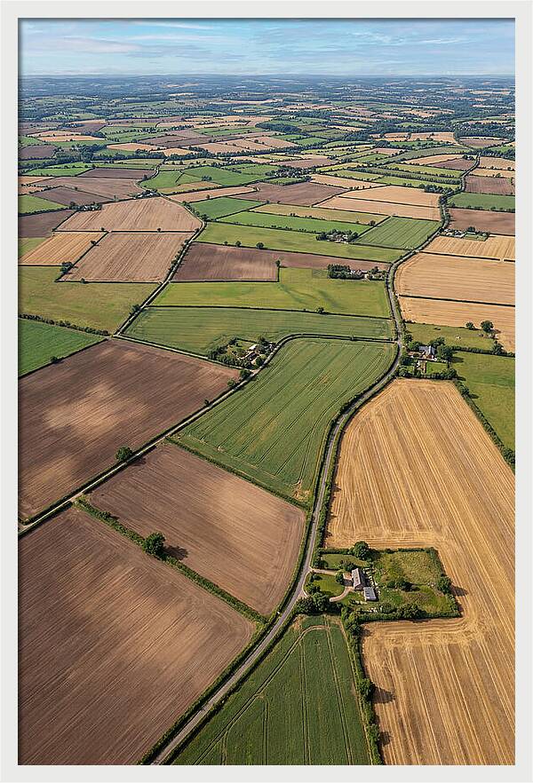 Aerial Perspective Of Agricultural Fields