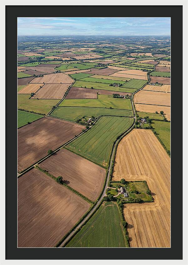 Aerial Perspective Of Agricultural Fields