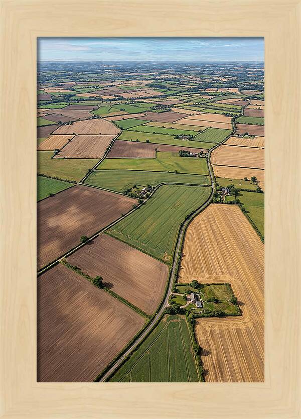 Aerial Perspective Of Agricultural Fields