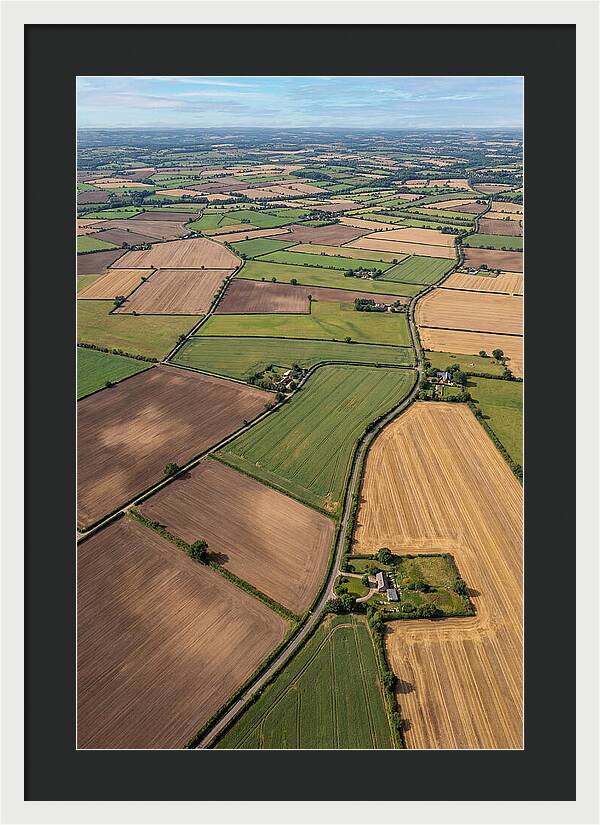 Aerial Perspective Of Agricultural Fields
