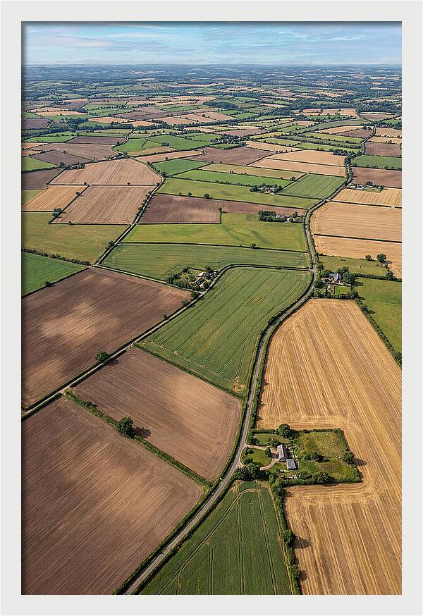 Aerial Perspective Of Agricultural Fields