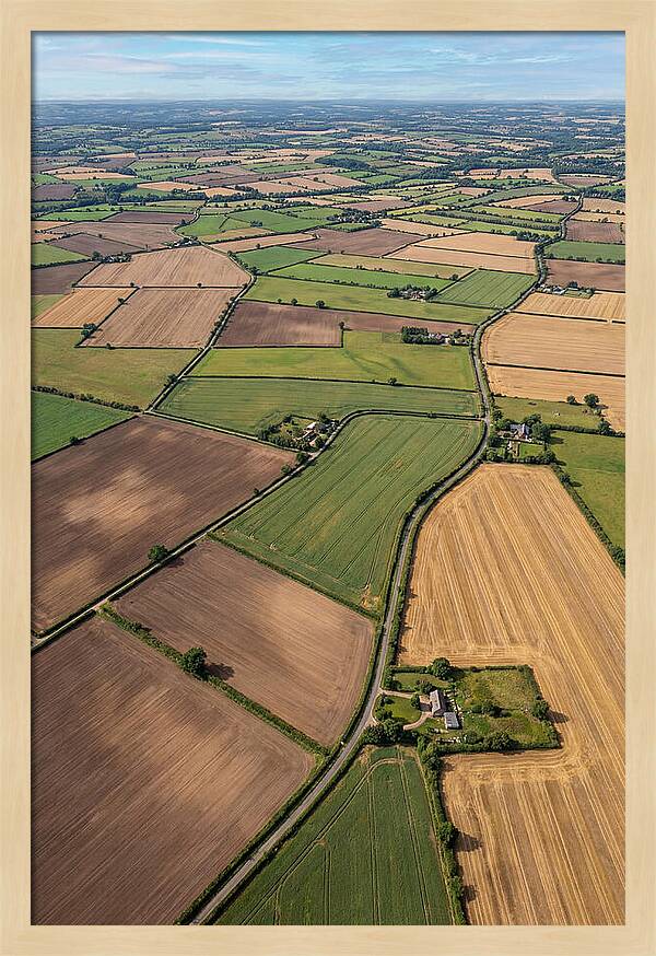 Aerial Perspective Of Agricultural Fields