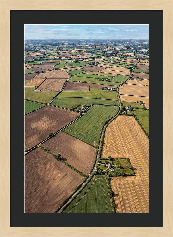 Aerial Perspective Of Agricultural Fields