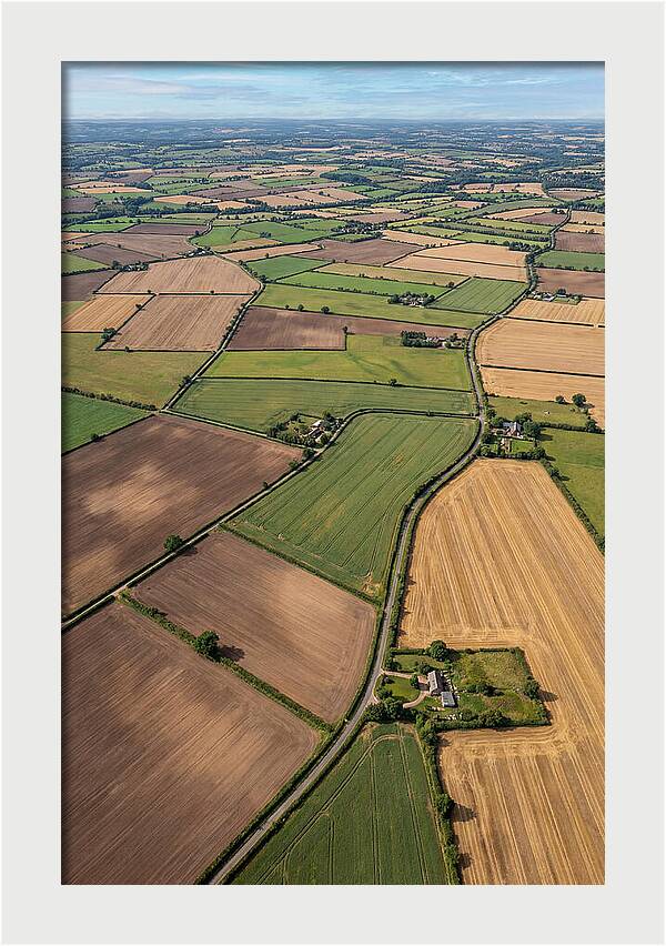 Aerial Perspective Of Agricultural Fields