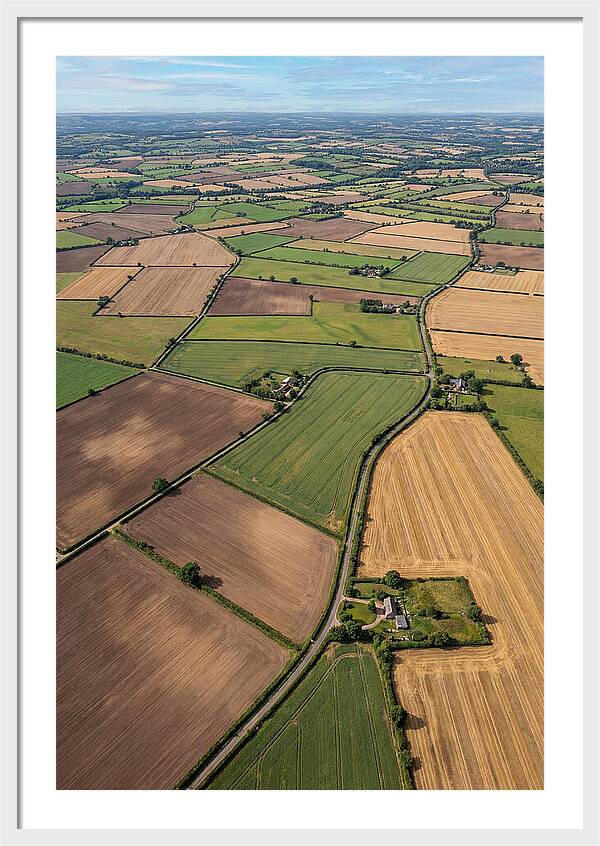 Aerial Perspective Of Agricultural Fields