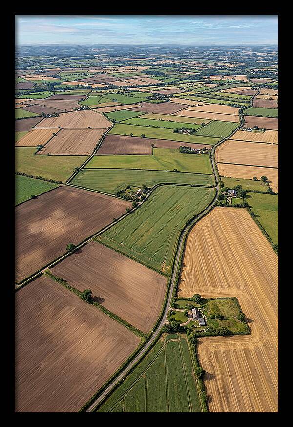 Aerial Perspective Of Agricultural Fields