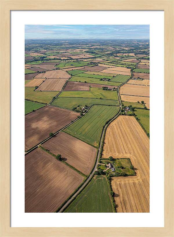 Aerial Perspective Of Agricultural Fields