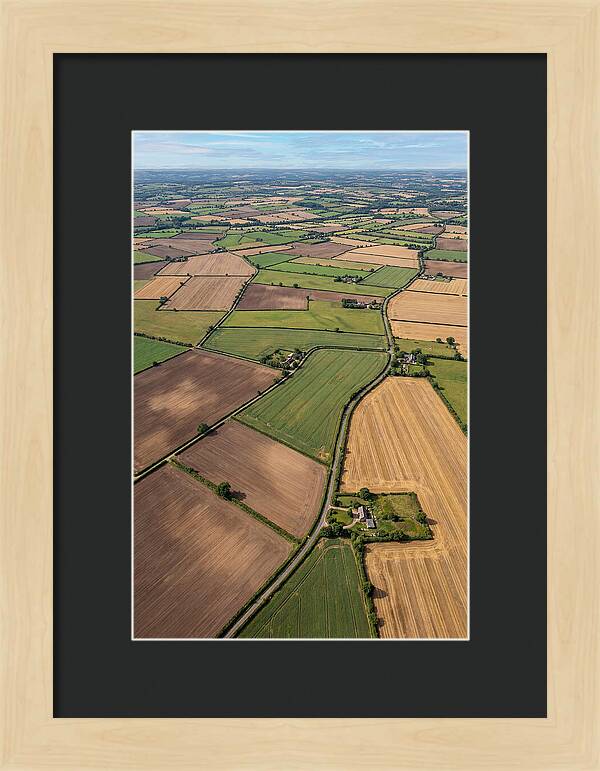 Aerial Perspective Of Agricultural Fields