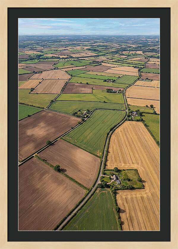 Aerial Perspective Of Agricultural Fields