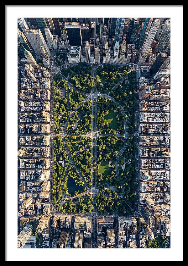 Aerial Perspective Of Central Park