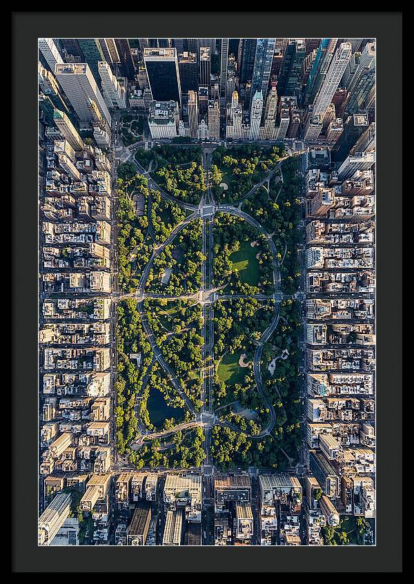 Aerial Perspective Of Central Park