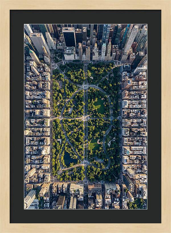 Aerial Perspective Of Central Park