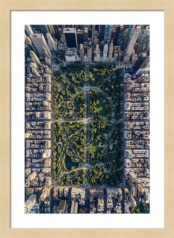 Aerial Perspective Of Central Park