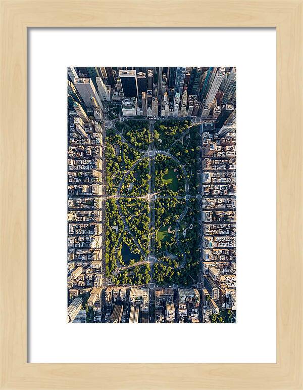 Aerial Perspective Of Central Park