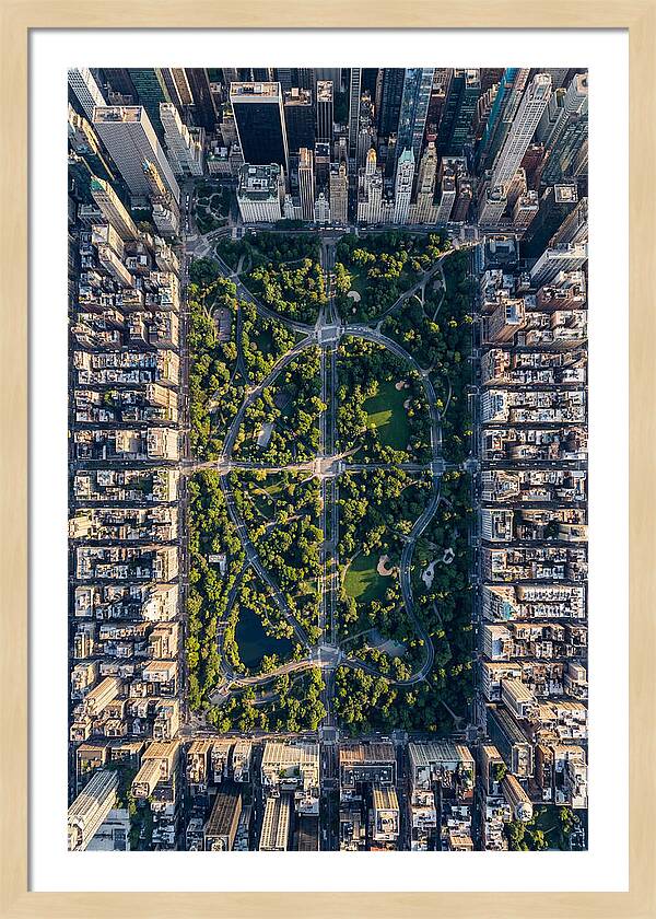 Aerial Perspective Of Central Park