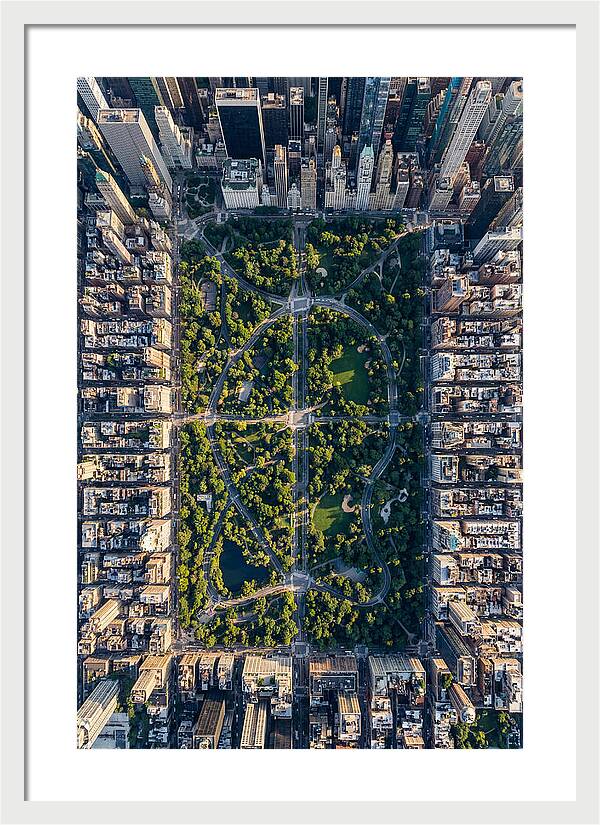 Aerial Perspective Of Central Park
