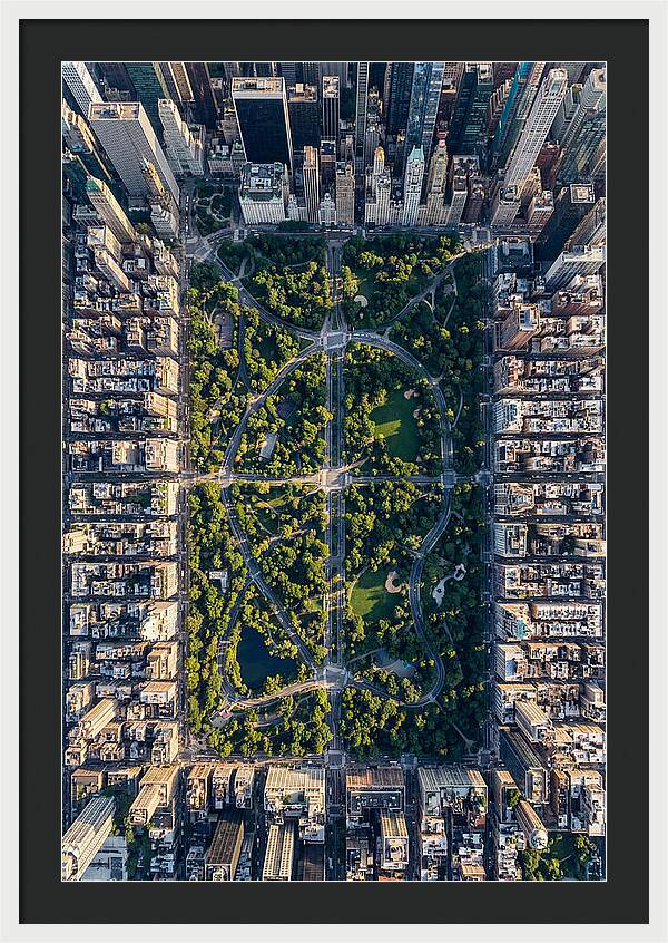 Aerial Perspective Of Central Park