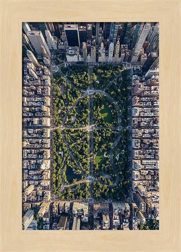 Aerial Perspective Of Central Park