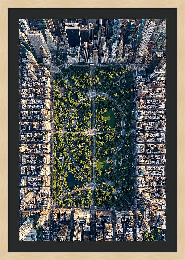 Aerial Perspective Of Central Park