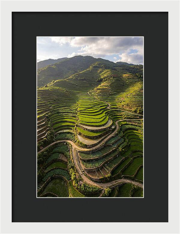 Aerial Terraced Hillside
