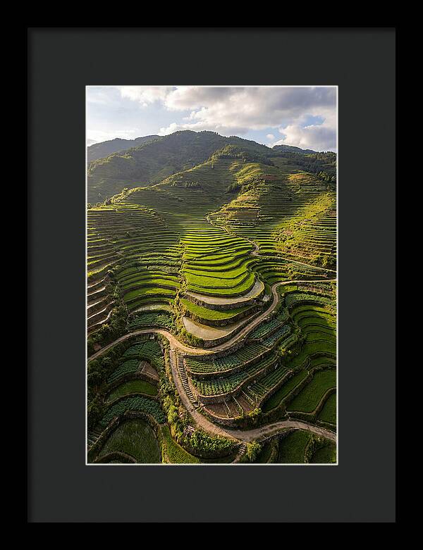 Aerial Terraced Hillside