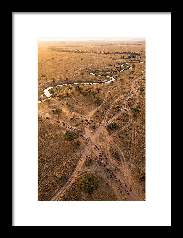 Aerial Trails Through Savanna