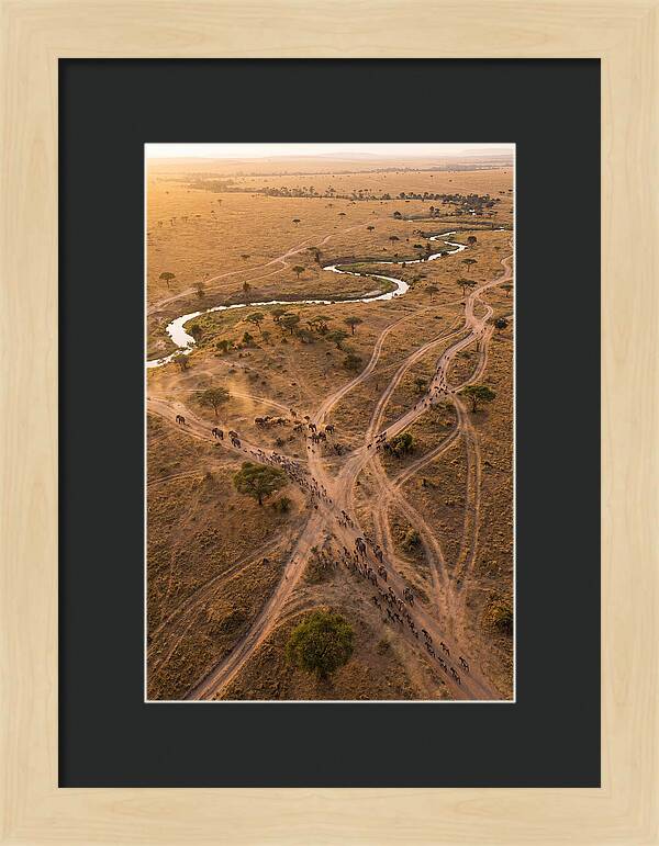 Aerial Trails Through Savanna