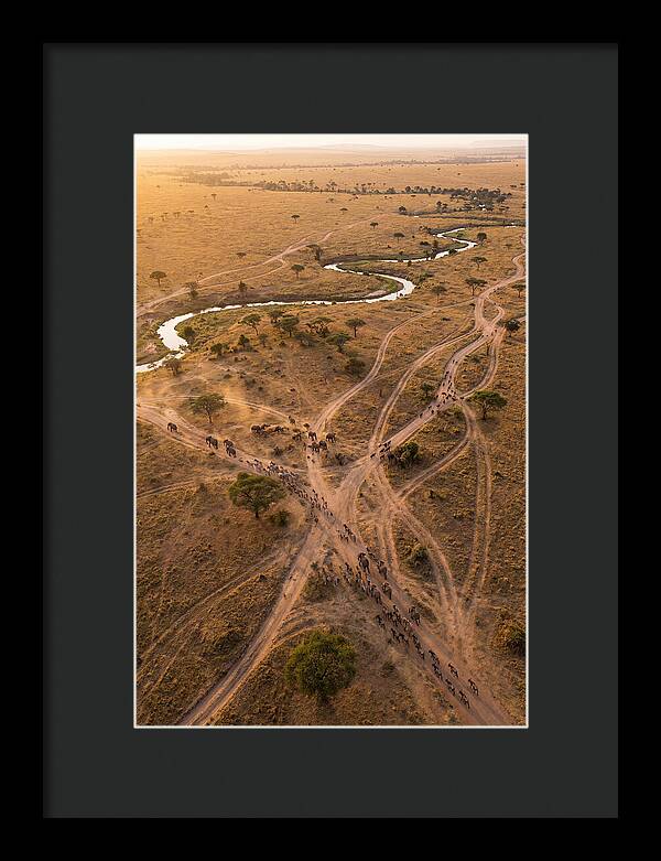 Aerial Trails Through Savanna