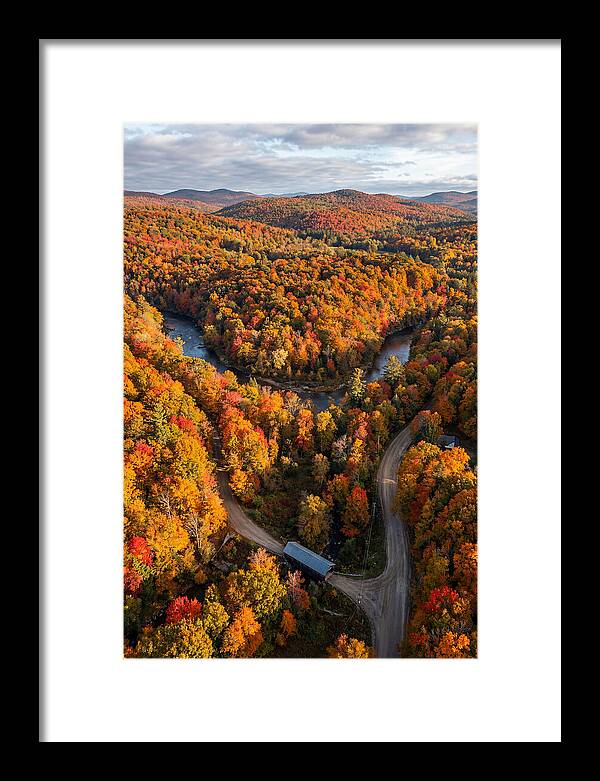 Aerial View Of Autumn Foliage