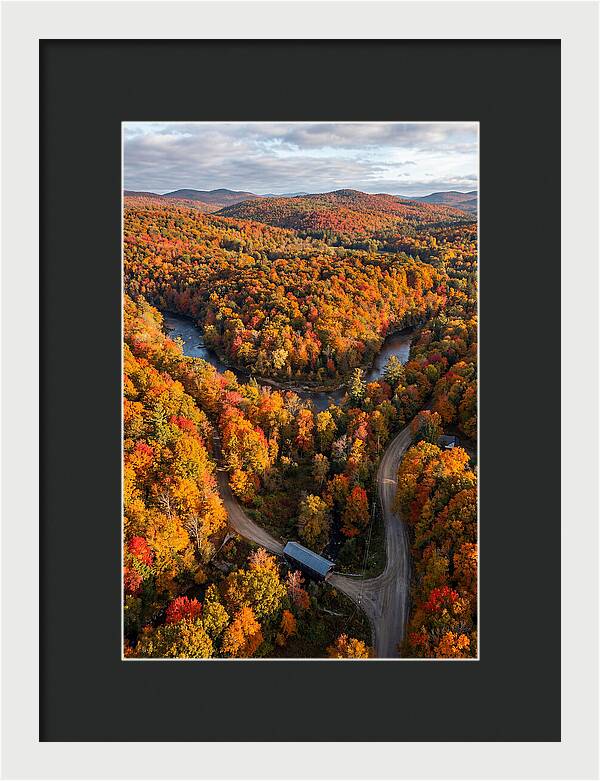 Aerial View Of Autumn Foliage