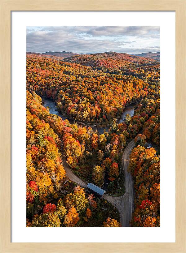 Aerial View Of Autumn Foliage